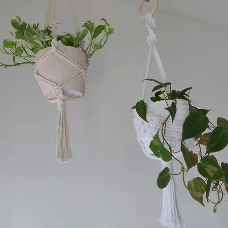 Casa Minke